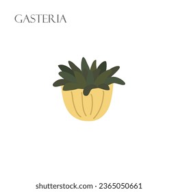 Vector illustration with an gasteria plant