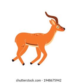 Vector illustration of a gazelle, antelope on a white isolated background.