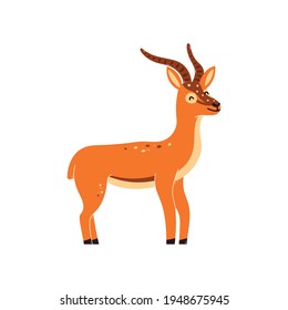 Vector illustration of a gazelle, antelope on a white isolated background.