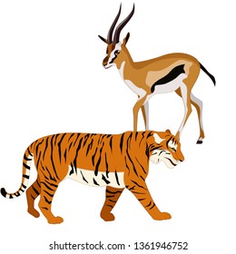 Vector illustration of gazelles and tiger on white background.  Flat style illustration
