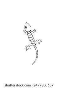 Vektorillustration eines Gecko. Skizze der tropischen Eidechse