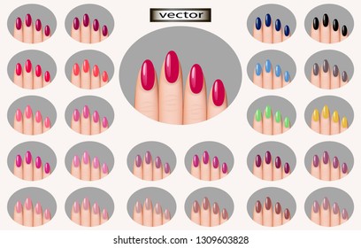 Vector illustration. Gel nail Polish. Nail Polish color palette. Isolated on white background 3D manicure on fingers, many different shades of nail Polish, print in beauty Salon.