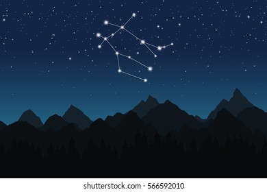 Vector illustration of Gemini constellation on the background of starry sky and night mountain