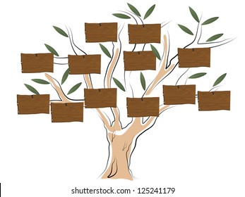 Vector illustration of genealogical tree