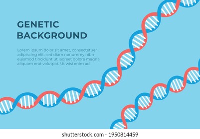 Vector illustration of genetic background. Human chromosome banner. A test to verify relatedness.