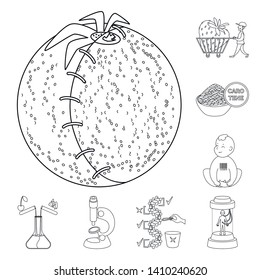Vector illustration of genetic and science sign. Collection of genetic and organic stock vector illustration.