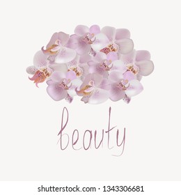 Vector illustration with gentle orchids and sign "beauty"