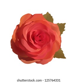 Vector illustration of gentle rose. eps 10