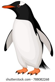 Vector illustration of a Gentoo Penguin.