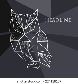 Vector illustration with geometric background and doodle owl