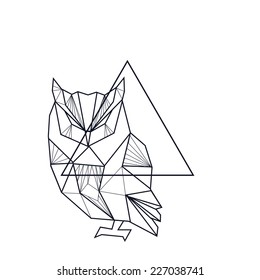 Vector illustration with geometric  doodle owl 