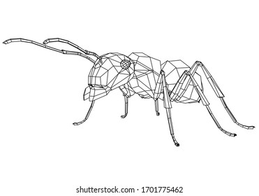 Vector illustration of a geometric polygonal ant. Abstract linear insect.