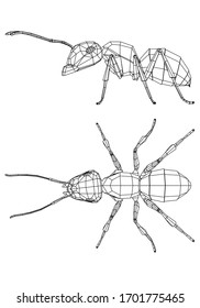 Vector illustration of a geometric polygonal ant. Abstract linear insect.