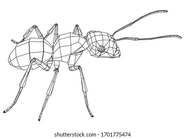 Vector illustration of a geometric polygonal ant. Abstract linear insect.