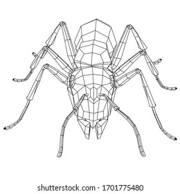 Vector illustration of a geometric polygonal ant. Abstract linear insect.