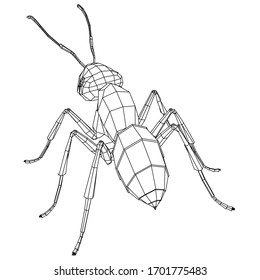 Ilustración vectorial de una hormiga polígonal geométrica. Insectos lineales abstractos.