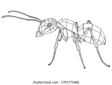 Vector illustration of a geometric polygonal ant. Abstract linear insect.