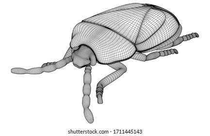 Vector illustration of a geometric polygonal harlequin bug. Abstract linear insect.