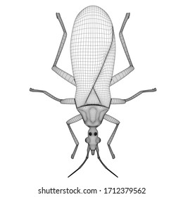 Vector illustration of a geometric polygonal kissing bug. Abstract linear insect.