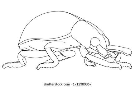 Vector illustration of a geometric polygonal ladybug. Abstract linear insect.