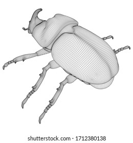 Vector illustration of a geometric polygonal rhinoceros beetle. Abstract linear insect.