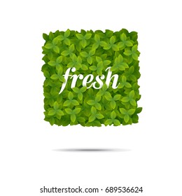 Vector illustration of a geometric square shape covered in leaves. Fresh label design.