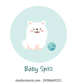 Vector illustration of german spitz, baby spitz, puppy spitz, Pomeranian. Flat isolated. Happy playful dog. Great for advertisement, designs