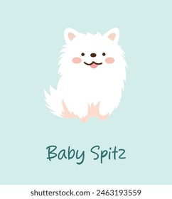 Vector illustration of german spitz, baby spitz, puppy spitz, Pomeranian. Flat isolated. Happy playful dog. Great for advertisement, designs