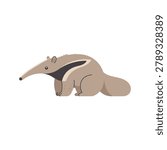 Vector illustration of a giant anteater in side view, featuring its long narrow snout, bushy tail, powerful forelimbs, and distinctive dark stripe. Isolated background