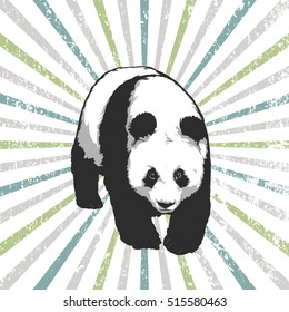 Vector illustration - Giant Panda emblem 