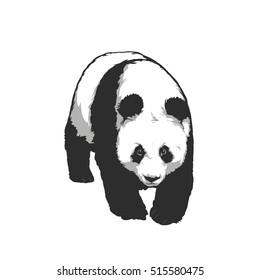 Vector illustration - Giant Panda emblem 