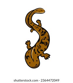 Vector illustration of Giant Salamander on white background