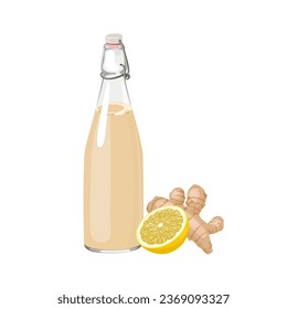 Vector illustration, ginger beer in a bottle, with lemon slices and ginger rhizome, isolated on white background.