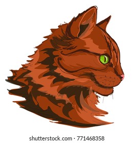 Vector illustration of ginger cat. Realistic domestic animal. Beautifull kitty's head close-up.