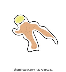 Ilustración vectorial del jengibre en estilo doodle