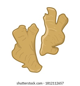 Vector illustration of ginger in flat style. Herb icon for app and web design