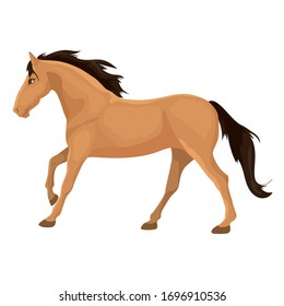 Vector illustration of ginger horse with dark mane running