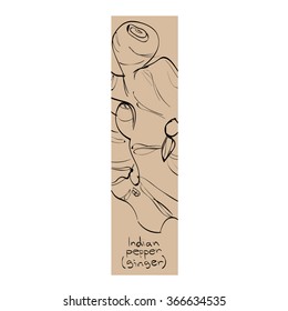Vector illustration of ginger (indian pepper) inside of letter I. Limited colors graphic. Hand drawing.