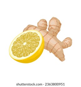 Vector illustration, ginger and lemon, natural medicine, anti-flu ingredients, isolated on white background.