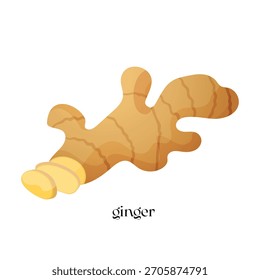 Vector illustration of a ginger root isolated on a white background with lettering below, perfect for culinary projects, spice packaging, food blogs, recipe design, etc.