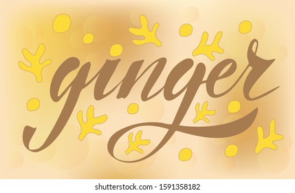 Vector illustration of Ginger text for logotype, shop, banner, magazine, poster, decoration, postcard. Ginger calligraphy background. Ginger lettering. EPS 10. 