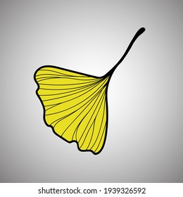 Vector illustration of ginkgo biloba leaf. ink line art design