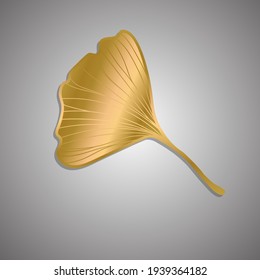 Vector illustration of ginkgo biloba leaf. ink line art design
