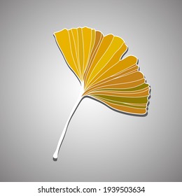 Vector illustration of ginkgo biloba leaf. ink line art design