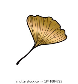 Vector illustration of ginkgo biloba leaf. ink line art design