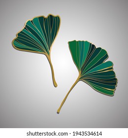 Vector illustration of ginkgo biloba leaf. ink line art design