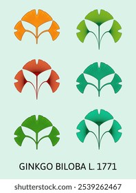 Ilustração vetorial de uma folha de ginkgo biloba usando o método de geometria sagrada. Conjunto vetorial de ginkgo biloba.
