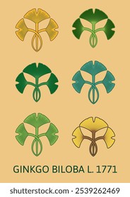 Ilustração vetorial de uma folha de ginkgo biloba usando o método de geometria sagrada. Conjunto vetorial de ginkgo biloba.
