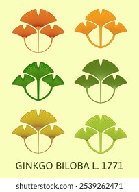 Ilustração vetorial de uma folha de ginkgo biloba usando o método de geometria sagrada. Conjunto vetorial de ginkgo biloba.
