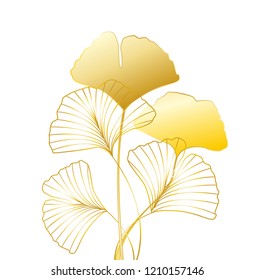 Vector illustration of ginkgo biloba leaves. Background with silhouette of leaves